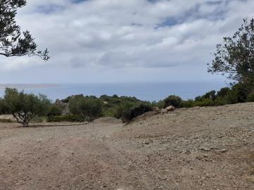 Agia-Fotia-6-961--2-