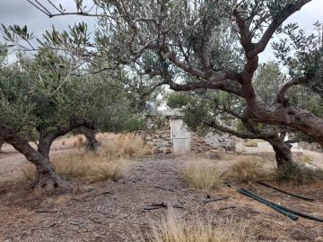 Agia-Fotia-6-961--4-