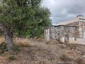Agia-Fotia-6-961--5-