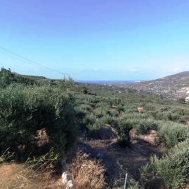 Epano-Episkopi-6-973--3-