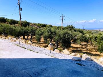 Epano-Episkopi-6-973--8-