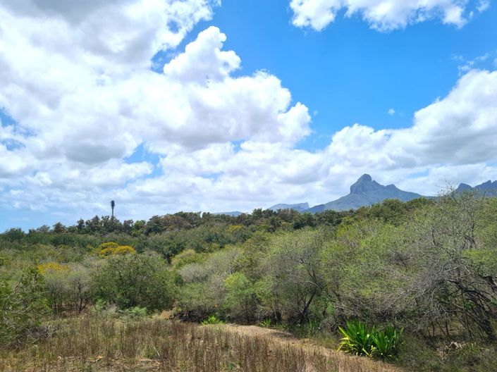 Image No.6-Property for sale