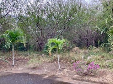 1 - Pailles, Property