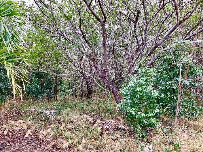 Image No.3-Property for sale