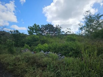 1 - Grand Baie, Property