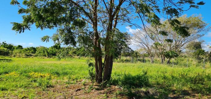 Image No.3-Property for sale