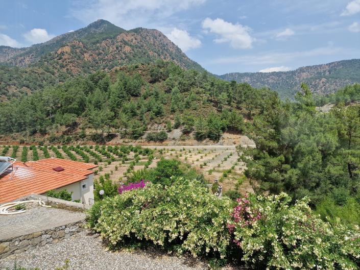 Image No.22-4 Bed Villa for sale