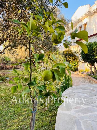 Image No.38-4 Bed Villa / Detached for sale