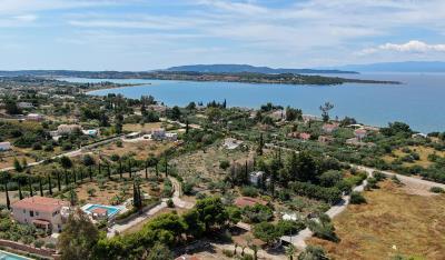 DJI_0554-2