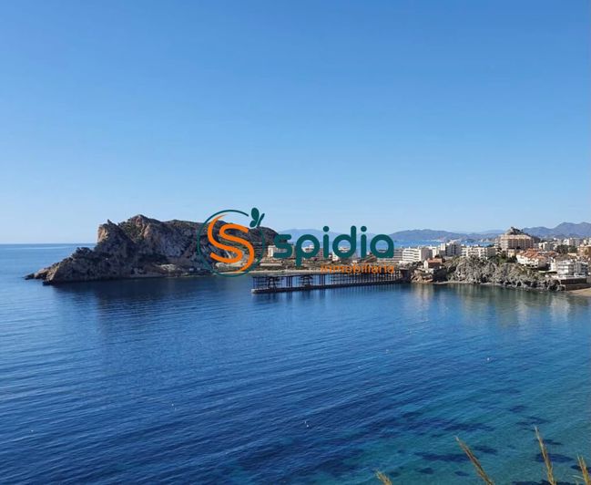 Image No.38-Propriété à vendre à Águilas