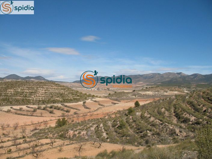 Image No.11-Plot for sale