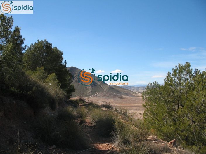 Image No.12-Plot for sale