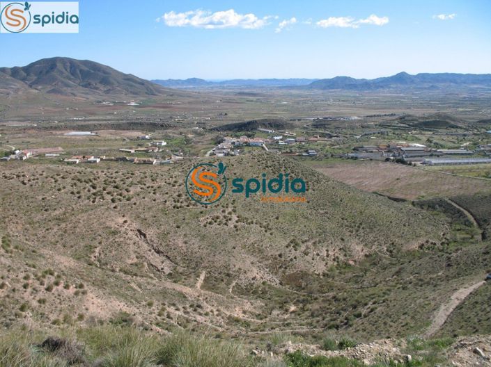 Image No.13-Plot for sale