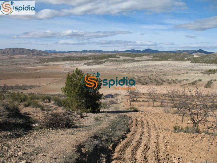 Image No.17-Plot for sale