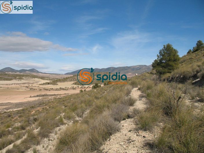 Image No.2-Plot for sale