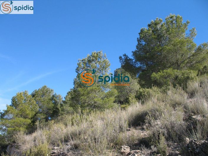 Image No.21-Plot for sale