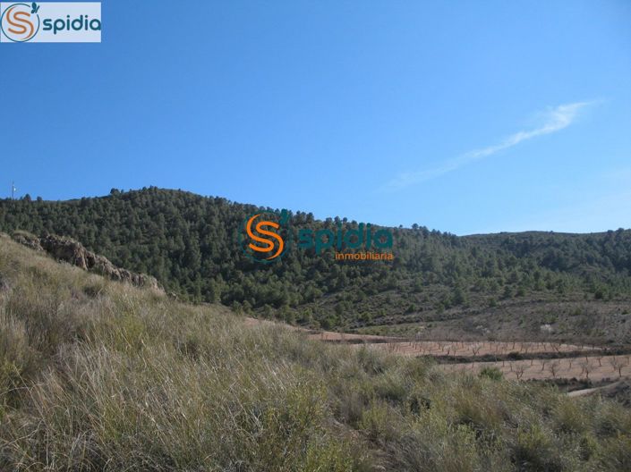 Image No.24-Plot for sale