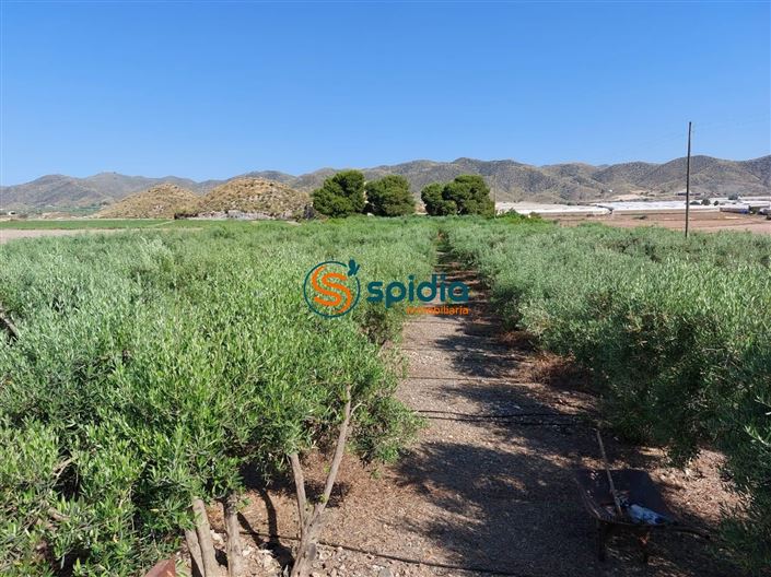 Image No.10-3 Bed Country House for sale