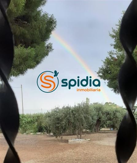 Image No.17-3 Bed Country House for sale