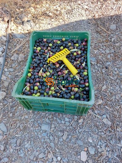 Image No.29-3 Bed Country House for sale