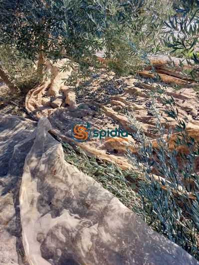 Image No.37-Maison de campagne de 3 chambres à vendre à Águilas