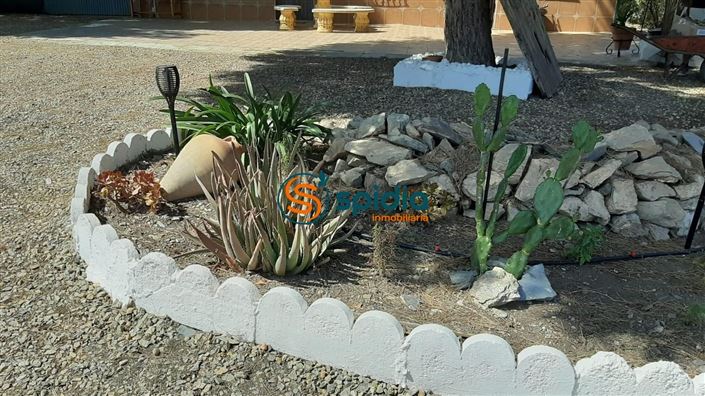 Image No.38-3 Bed Country House for sale