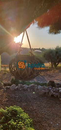 Image No.39-3 Bed Country House for sale