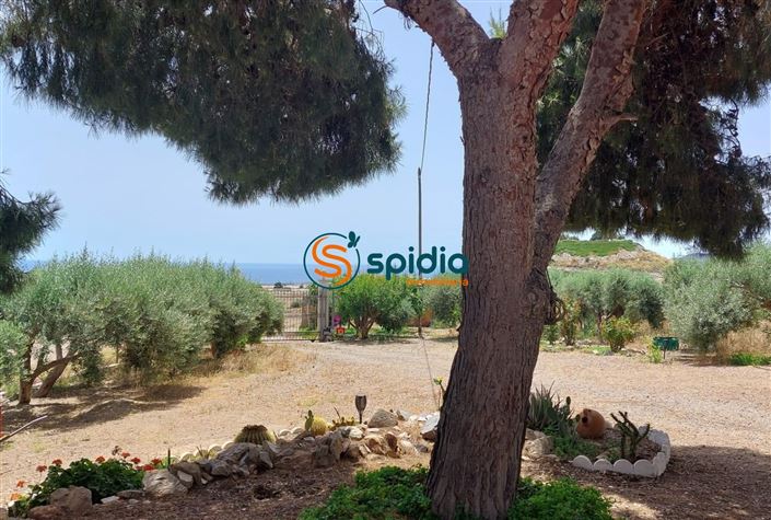 Image No.43-3 Bed Country House for sale