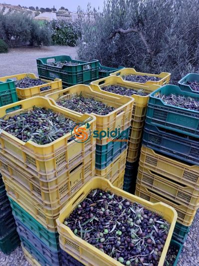 Image No.47-Maison de campagne de 3 chambres à vendre à Águilas