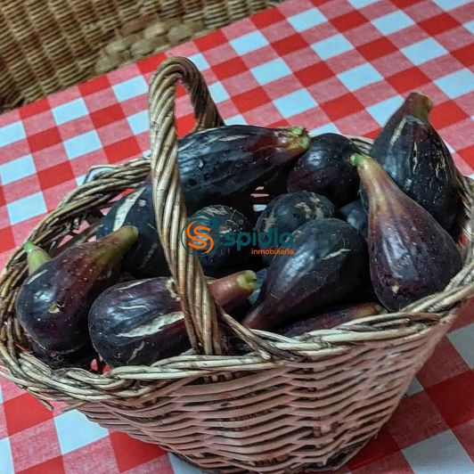 Image No.48-Maison de campagne de 3 chambres à vendre à Águilas