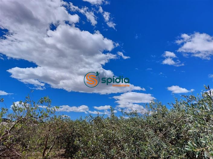 Image No.50-3 Bed Country House for sale