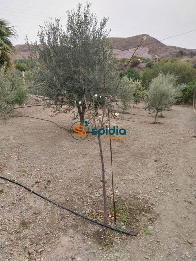 Image No.22-Maison de campagne de 2 chambres à vendre à Águilas