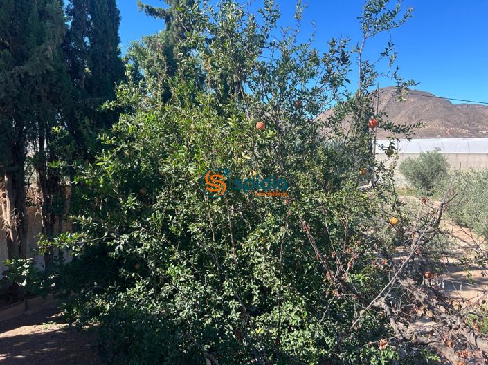 Image No.11-Maison de campagne de 3 chambres à vendre à Águilas