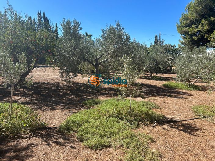 Image No.12-3 Bed Country House for sale