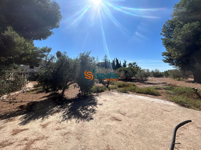 Image No.13-3 Bed Country House for sale