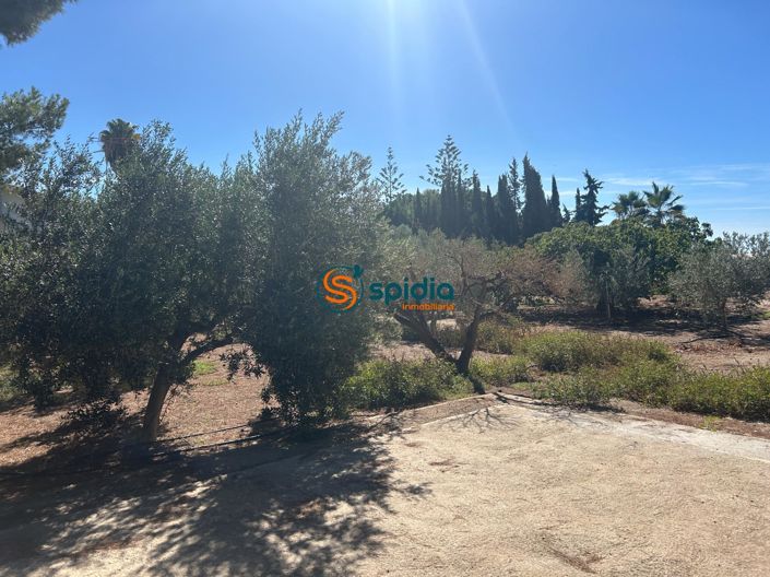 Image No.14-3 Bed Country House for sale