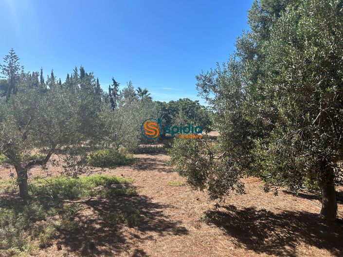 Image No.17-3 Bed Country House for sale