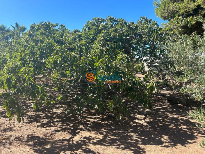 Image No.19-Maison de campagne de 3 chambres à vendre à Águilas