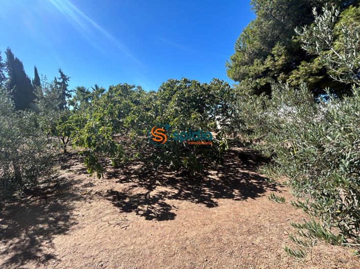 Image No.19-3 Bed Country House for sale