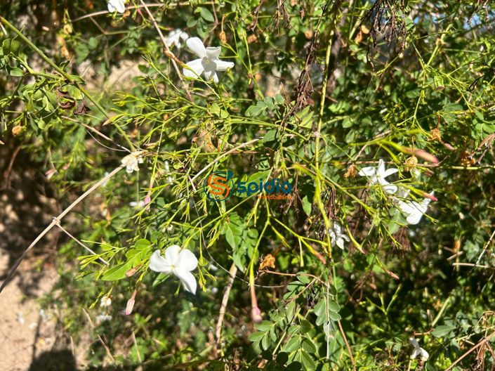 Image No.28-3 Bed Country House for sale