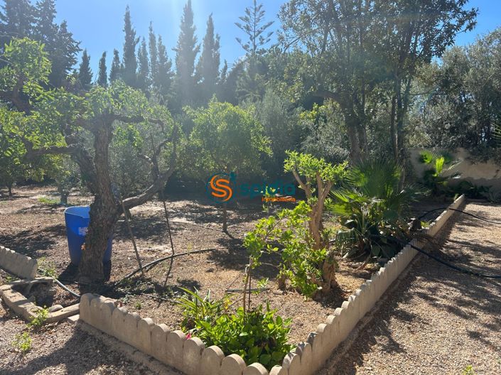 Image No.30-3 Bed Country House for sale