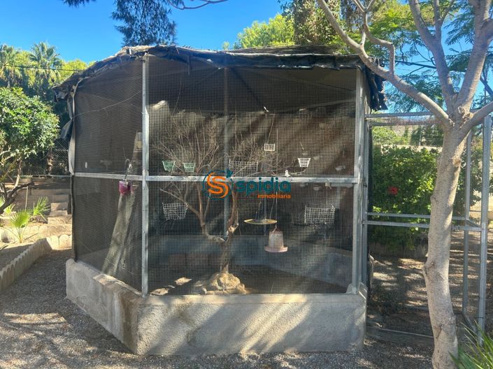 Image No.32-3 Bed Country House for sale