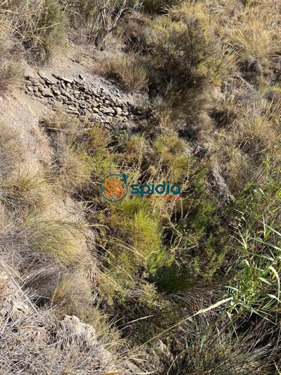 Image No.40-Property for sale