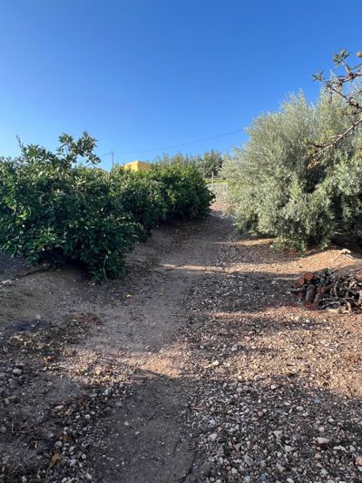 Image No.13-3 Bed Country House for sale