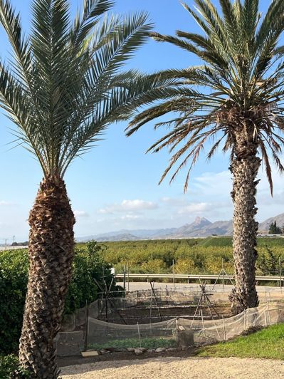 Image No.17-3 Bed Country House for sale