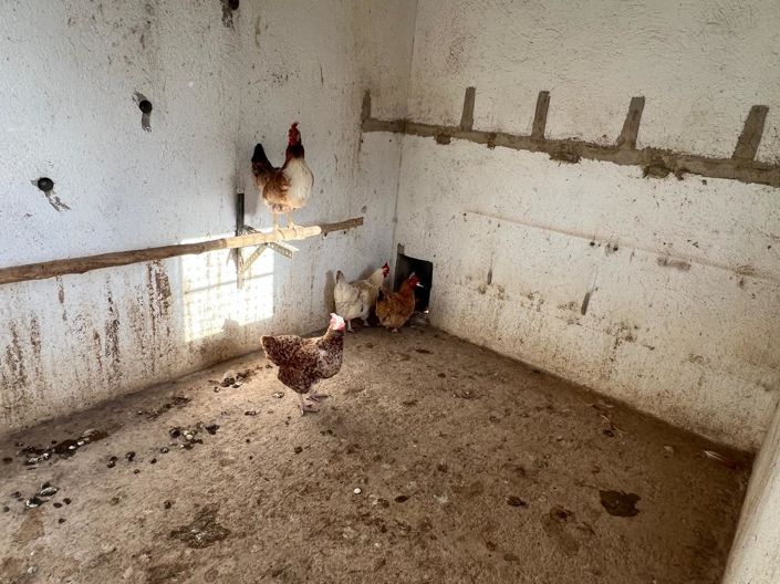 Image No.20-3 Bed Country House for sale