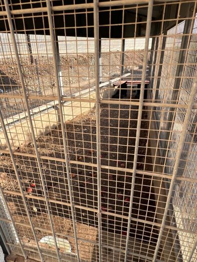 Image No.25-3 Bed Country House for sale