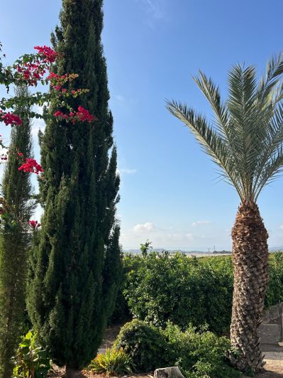 Image No.42-3 Bed Country House for sale