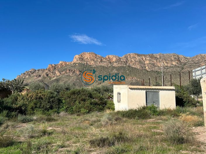 Image No.43-3 Bed Country House for sale