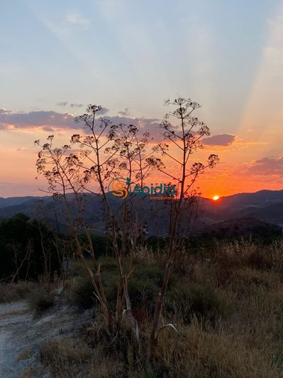 Image No.10-4 Bed Country House for sale